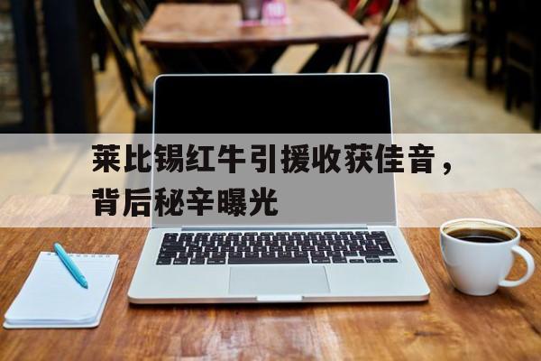 莱比锡红牛引援收获佳音，背后秘辛曝光